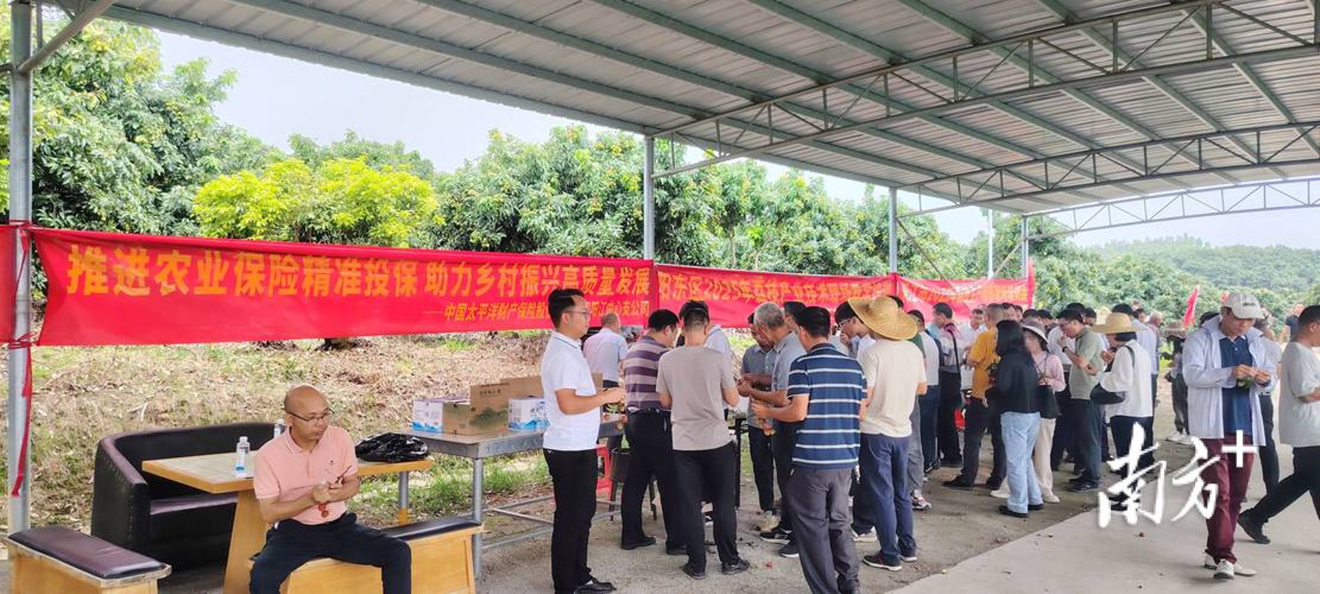 荔枝中文网